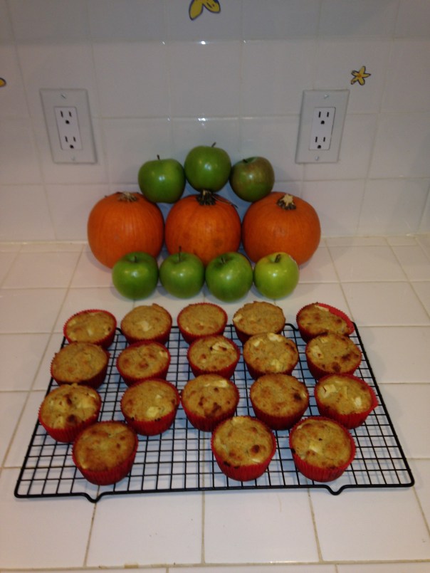 Paleo Apple Cinnamon Chia Muffins